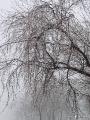 BluffPark051 