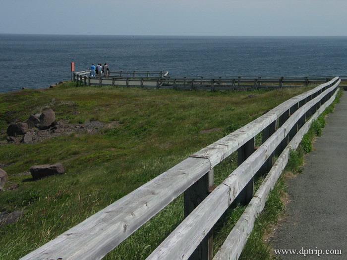 03_CapeSpearNHS001 Cape Spear- 北美大陆最东端.