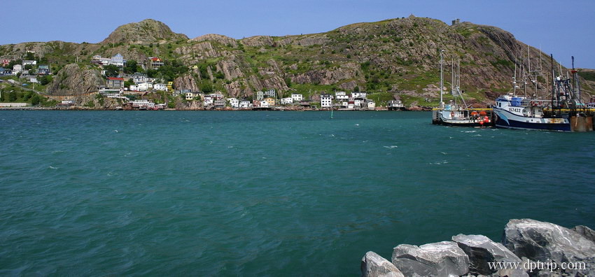 05_StJohns003 安详的海港,远航归来的渔船.