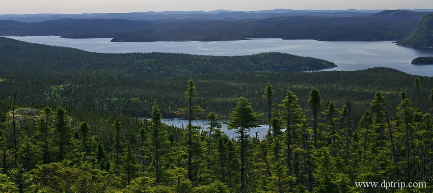 01_TerraNovaPark006 Terra Nova National Park