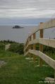 02_Twillingate002 Twillingate - 观鲸,看冰山,吸引游人前往.我们满怀希望这里惊现冰山一角.