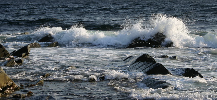 14_LobsterCoveHead005 Lobster Cove Head