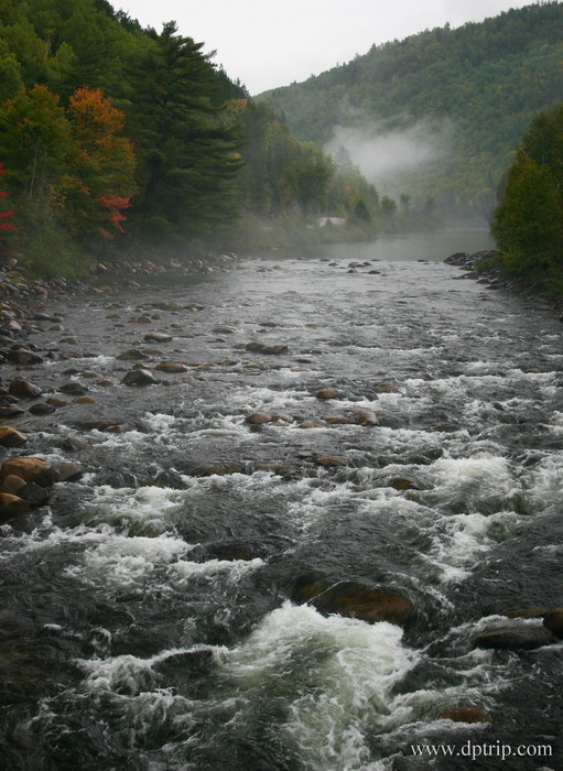 2005_NorthOntario021 Deer Trail - White River