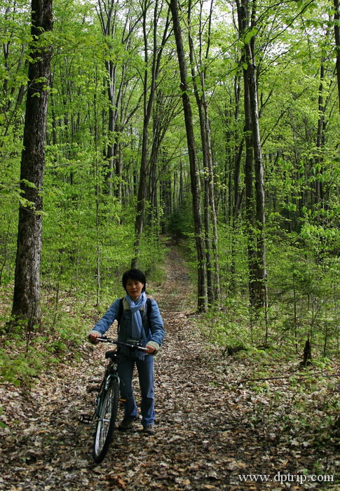 ArrowHead011 Mountain Bike - 我那点可怜的车技,骑在这样的trail上,方知什么叫不自量力-上-力不从心,下-胆颤心惊; 4km的路程倒有3km是推车hiking.