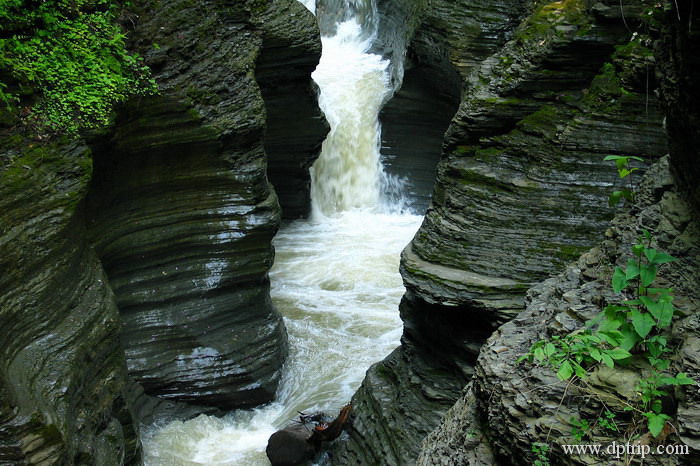 2006_fingerlake_007 Watkins Glen Park. 典型的冰川侵蚀地貌 - 峡谷,溪流,瀑布.