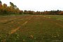 201310BalaCranberryFarmDP_001.jpg 201310BalaCranberryFarmDP_001